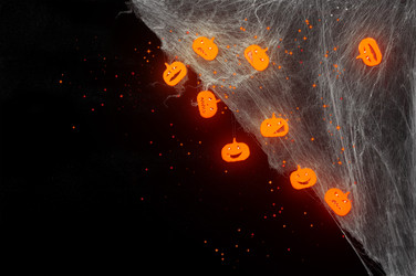 Similar image 22244332