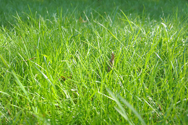 Similar image 22244334