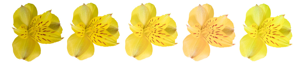 Similar image 22244339