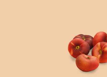 Similar image 22244344