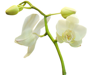 Similar image 22244354