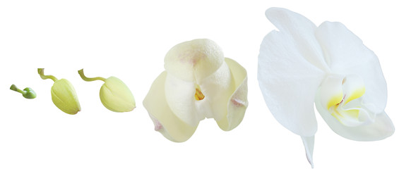 Similar image 22244355