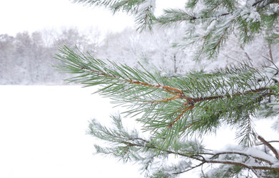 Similar image 22244356