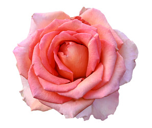 Similar image 22244357