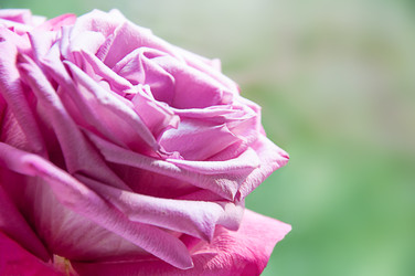 Similar image 22244368