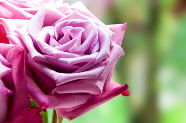 Similar image 22244369