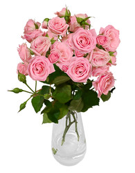 Similar image 22244372