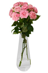 Similar image 22244373