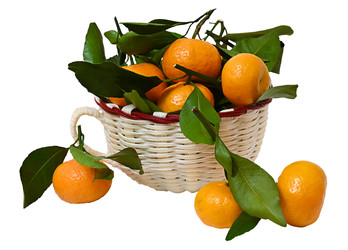 Similar image 22244375