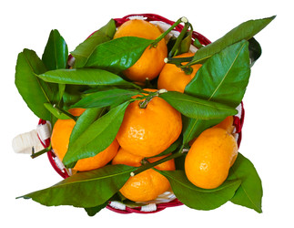 Similar image 22244376