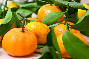 Similar image 22244378