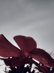 Similar image 22245192