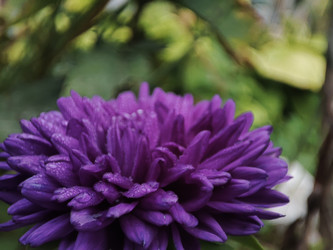 Similar image 22245193