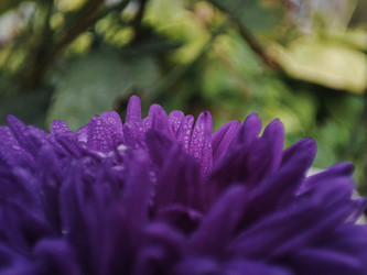 Similar image 22245194