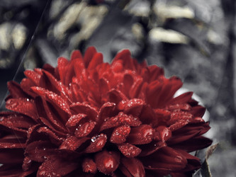 Similar image 22245195