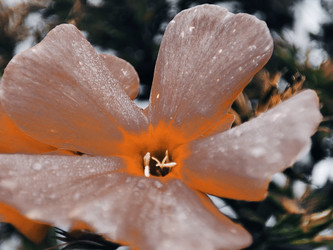 Similar image 22245196