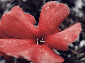 Similar image 22245197