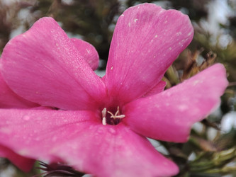 Similar image 22245198