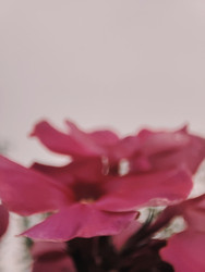 Similar image 22245199