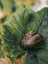 Similar image 22245200