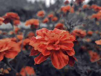 Similar image 22245201