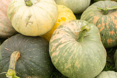 Similar image 22246659