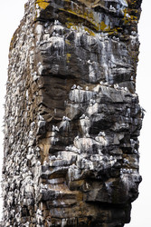 Similar image 22244777