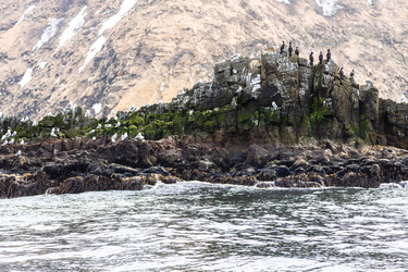 Similar image 22244778