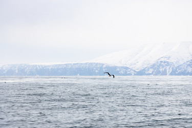 Similar image 22244779