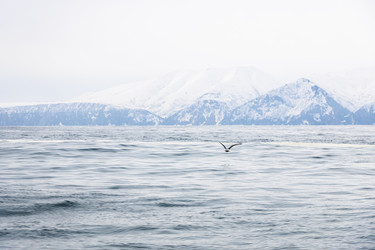 Similar image 22244780