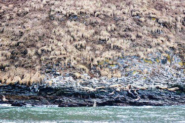 Similar image 22244781