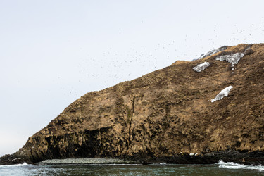 Similar image 22244782