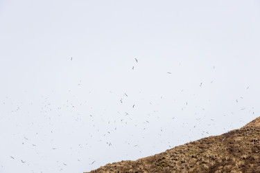 Similar image 22244783