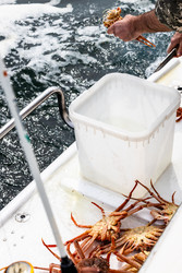 Similar image 22244784