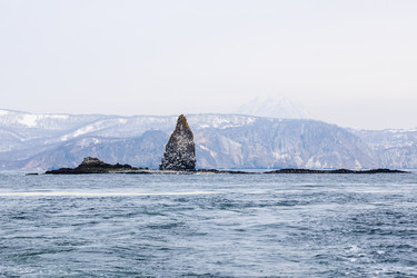 Similar image 22244785