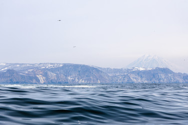 Similar image 22244786