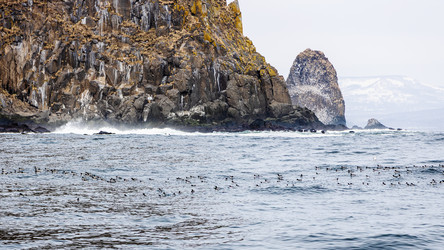 Similar image 22244787