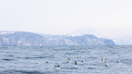 Similar image 22244788