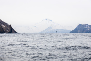 Similar image 22244789