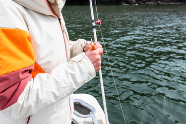 Similar image 22244793