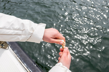 Similar image 22244794