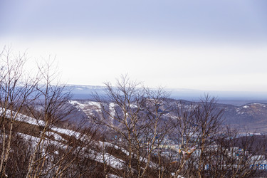 Similar image 22244797