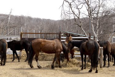 Similar image 22258025