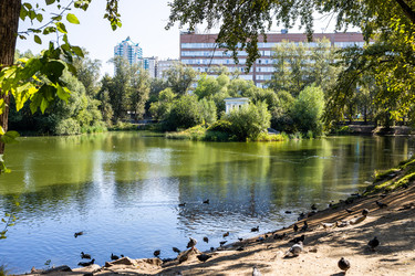 Similar image 22258026