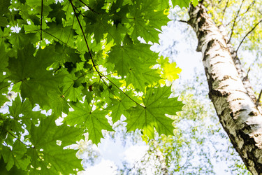 Similar image 22244806