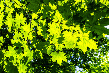 Similar image 22244807