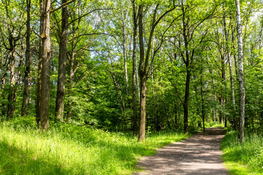 Similar image 22244808