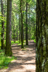 Similar image 22244810