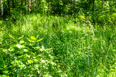 Similar image 22244811