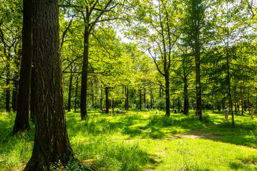 Similar image 22244812